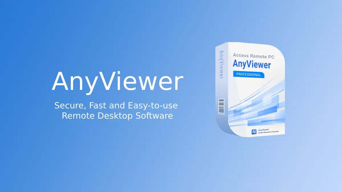 AnyViewer Professional